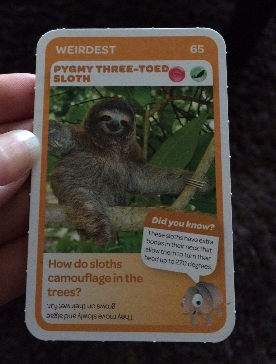Woolworths Super Animals sloth card NSFW 