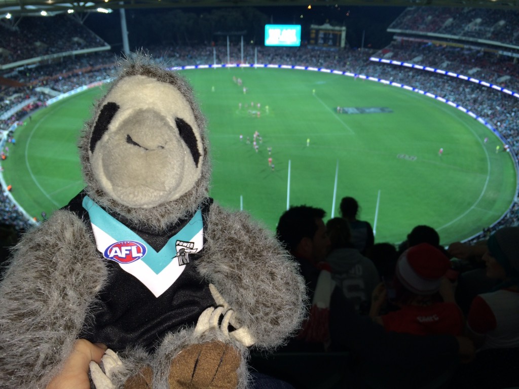 sport Archives - Sloths.com.au